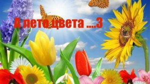 А ЛЕТО ЦВЕТА ....3 Отчёт №6