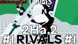 Соперники RIVALS\МАТЧ 2На.2 С Подписчиком #1