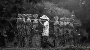 Best of Onra  Trip-Hop & Hip-Hop Instrumental.mp4