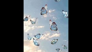 lv_0_20250816184927.mp4