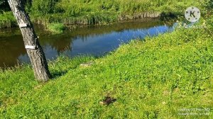 Поход родителей ~ Беседка «Благовест» , июль 2025.