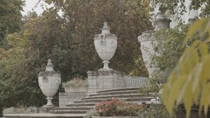 Зинаида Юсова. Сервиз "Елагин остров с серым рантом"