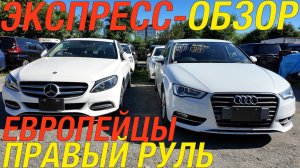 ЯПОНИЯ ОТДЫХАЕТ, ВЛАДИВОСТОК РАБОТАЕТ ZR-V TERAMONT X AUDI A3 C CLASS SHARAN GOLF FREED SIENTA
