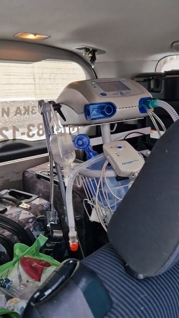 Поездка за ребенком по маршруту Новосибирск-Караганда через Павлодар и Астану смотреть онлайн