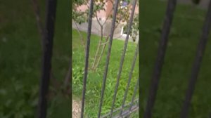 Тест универсальных ключей от УНДМК комплект УК 13 ч.7 1 видео