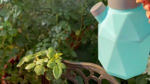 Опять на нас тля напала.