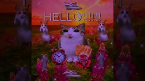 HELLO!!!!!  Хватит грустить — пришло время котошуток и радостных моментов! Жми «Подписаться»!