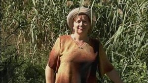 сборник авторских песен