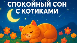 СПОКОЙНЫЙ СОН С КОТИКАМИ 🌙