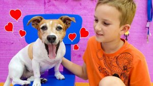 Влад и Ники учатся ухаживать за животными! Весёлое видео для детей!