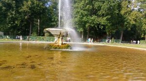 Выбрались погулять в Петергоф