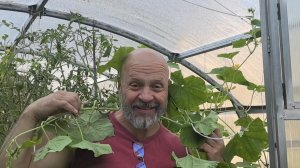 Родители уехали, урожаю кирдык!