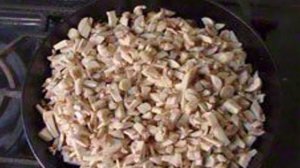 Грибной сыр