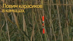 На рыбалке с раннего утра. Ловим карася на поплавок с лодки.