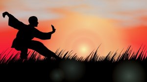 Enigma- Deja vu (Exclusive version)