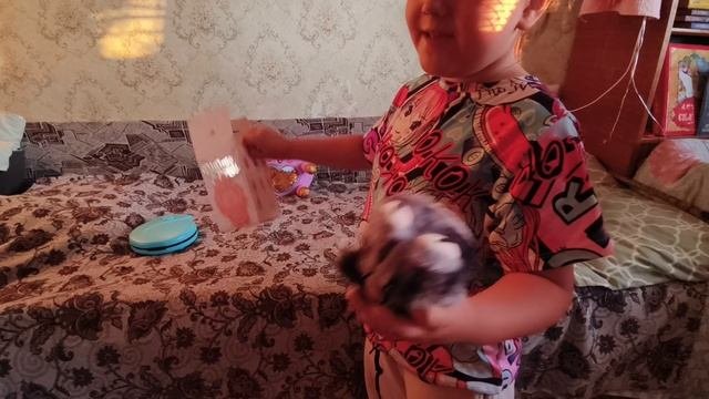 Распаковка секретного Лабубу