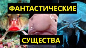 👽 10 ФАНТАСТИЧЕСКИХ СУЩЕСТВ ИЗ ГЛУБИН ОКЕАНА