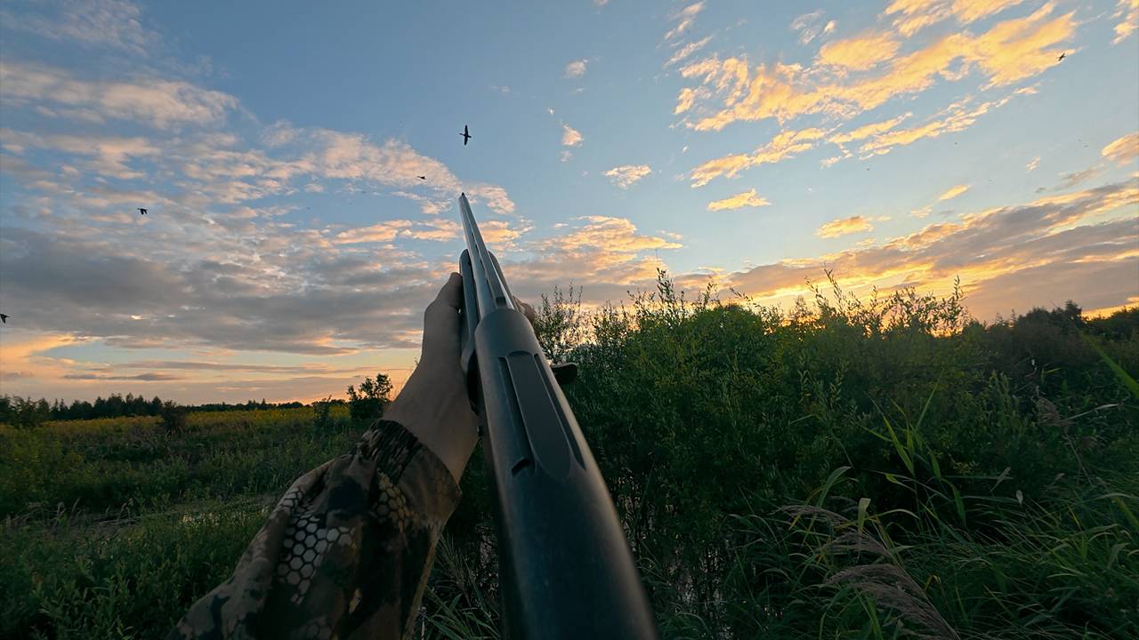 Охота на Уток на Болоте 2025 смотреть онлайн