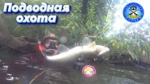 ДЕАФ ПОДВОДНАЯ ОХОТА 16/08/2025