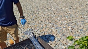 Сочи пляж .mp4