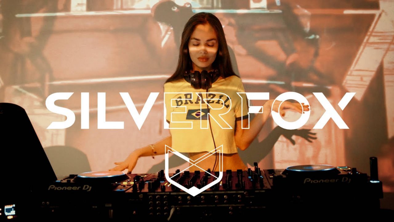 SilverFox | Afro Melodic House | DJ SilverFox Live Mix