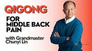 YT01-08 Средство от боли в спине. Chunyi Lin - Spring Forest Qigong