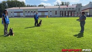 Е. Фидлер и Loki v Sozvezdii Lun, IGP-3 b-93 | Чемпионат Новосибирской области по IGP-3