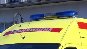 В Саратове умер ребенок после падения на него фигуры в парке