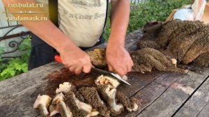 Режу 100 кг мяса для щенков. Тест ножа Мечта туриста  (ННВ №1)
