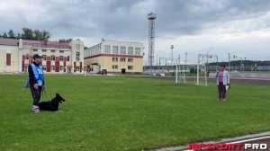 А. Савочкина и De Orse Mak Flay Fidel, IGP-1, C-90, Чемпионат НСО по IGP