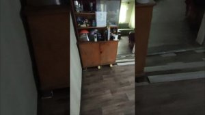 Часть 10. Доделываем разную мелочевку