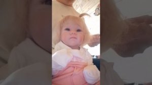 рутина с реборном