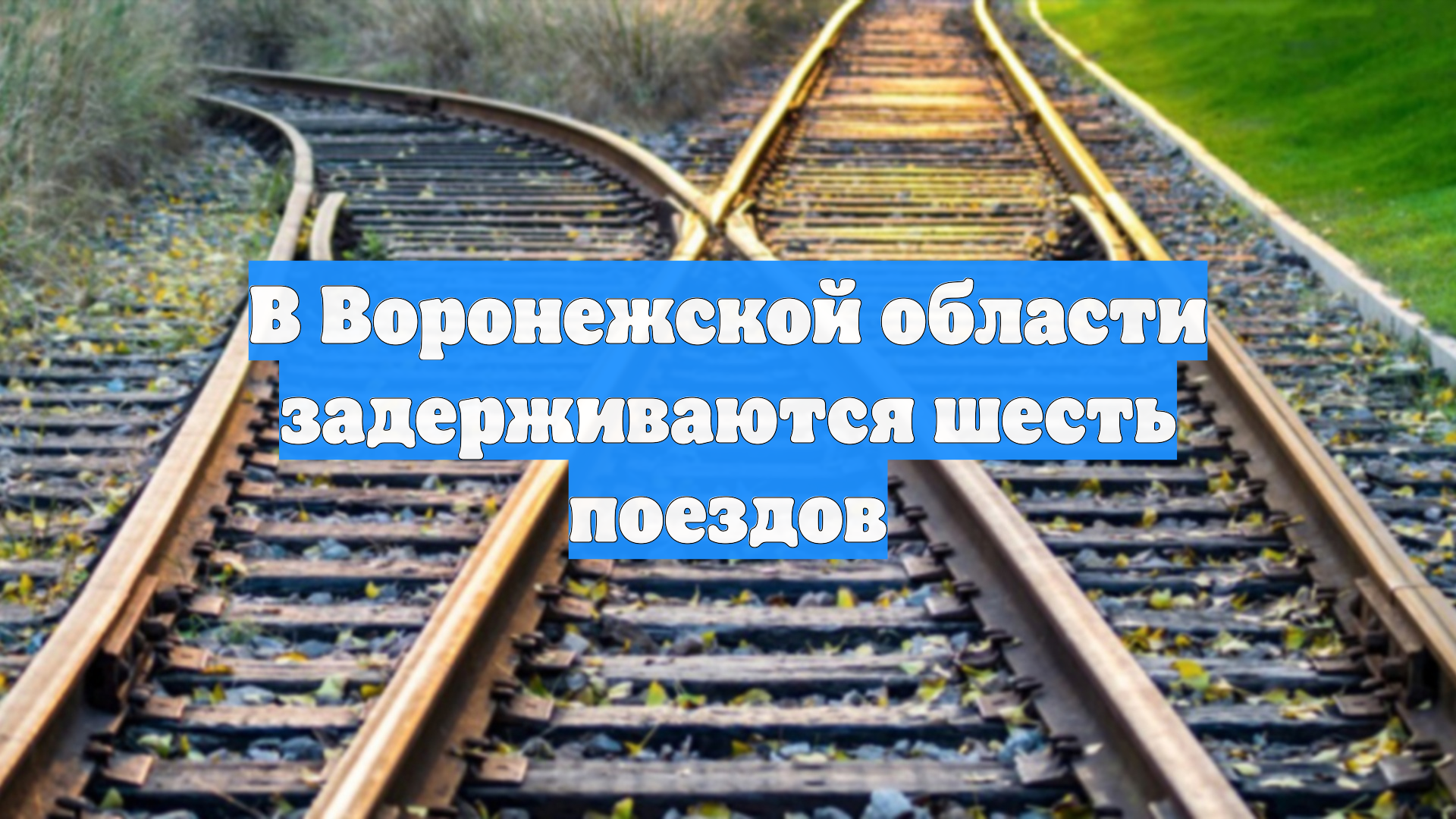 В Воронежской области задерживаются шесть поездов