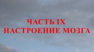 ЧАСТЬ IX НАСТРОЕНИЕ МОЗГА