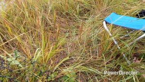 утренняя рыбалка на донку на карася.