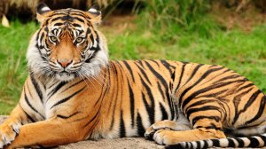 Рай на краю земли