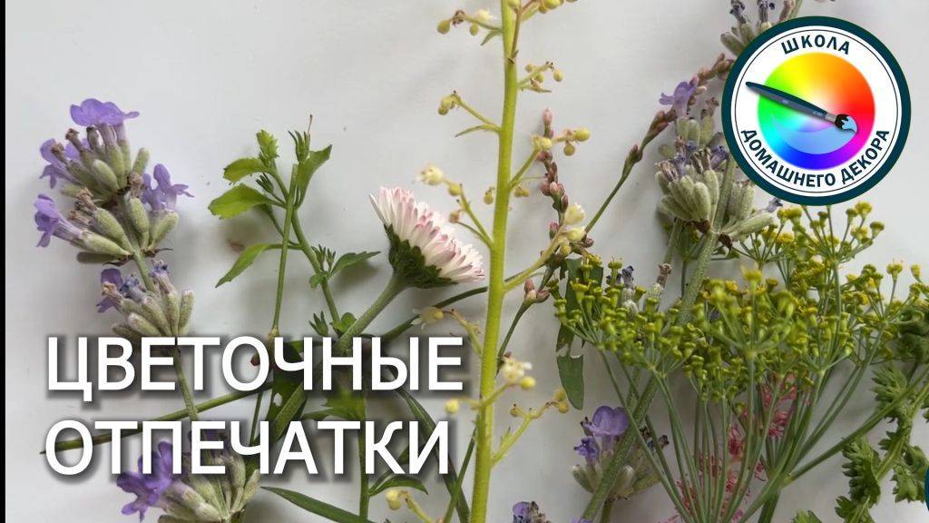 ПРИРОДНЫЕ ОТПЕЧАТКИ В ДЕКОРЕ - отпечатки трав