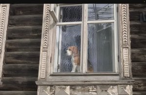 Томск летом 2025, однодневная поездка на поезде