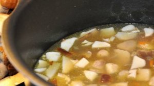 Грибовница