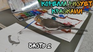 Попугай корелла рисует красками. Часть 2