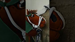 обзор на хоббихорса)