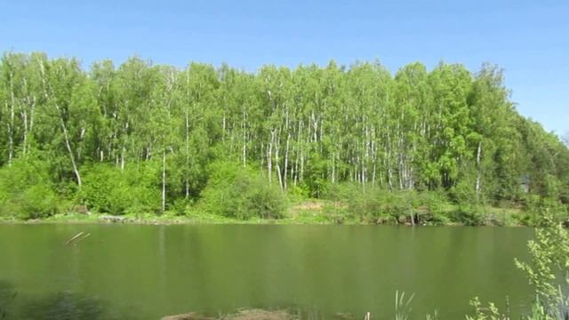 Недвижимость всегда в цене смотреть онлайн