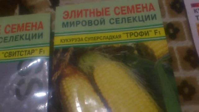 Выбираем элитные семена скороспелой кукуруза на сезон 2021