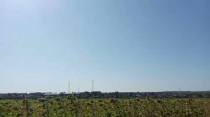 VID_20250817_110522_673.mp4