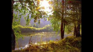 МИНУТЫ ТИШИНЫ. Ст. Галины Погониной