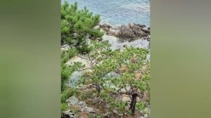 2025.08.16  Витязь