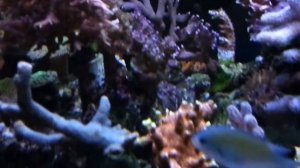 АкваМоре 19,03,14г