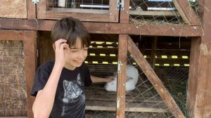 Наша команда и животные 🐕🐰🍀❤️🔥