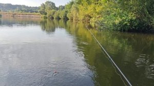 Зачетный ГОЛАВЛЬ..Лодка .Мотор ФЛЕЙЗЕР 4.0.Рыбалка на ГОН. (1)