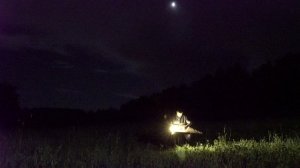 Fly me to the moon (Gusli Cover)